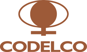 Logotipo de cliente Mercosur